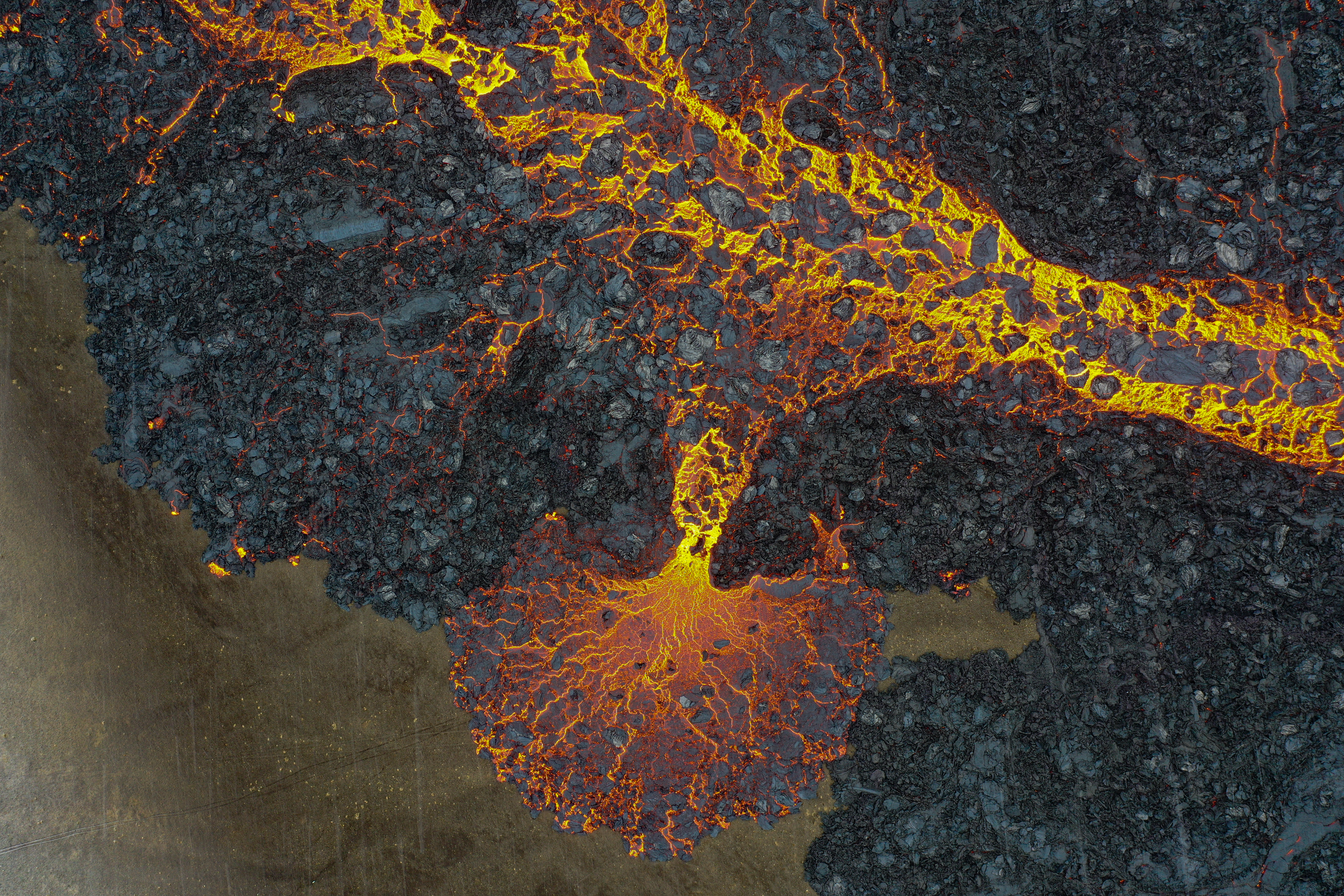 Field Work Background